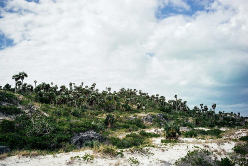 008 cuba cayo coco beach