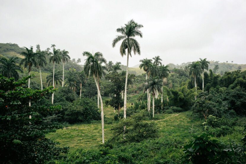 013 santa clara topes de collantes trinidad