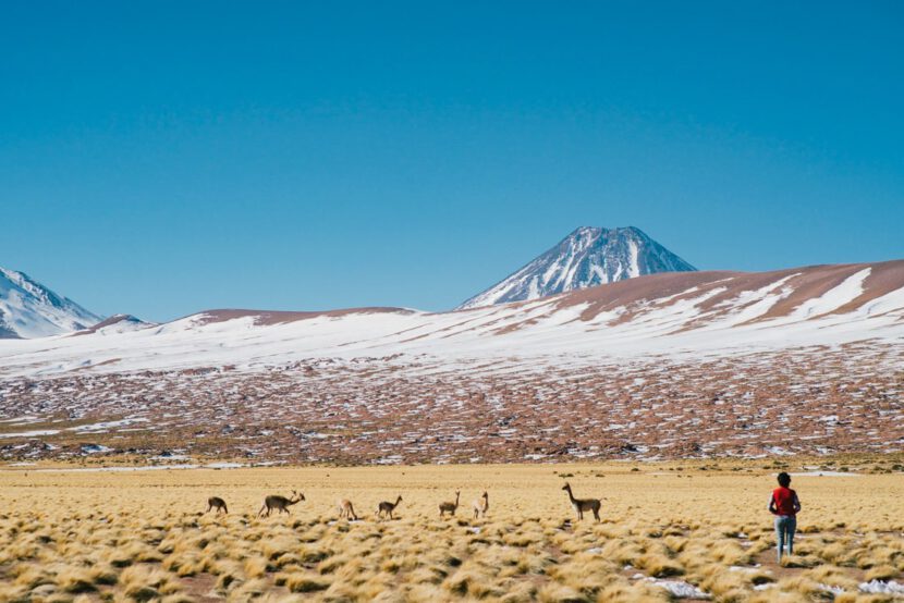 009 san pedro atacama desert chile bolivia