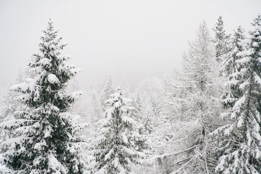 017 schneeschuhwandern lenzerheide landwasserviadukt filisur