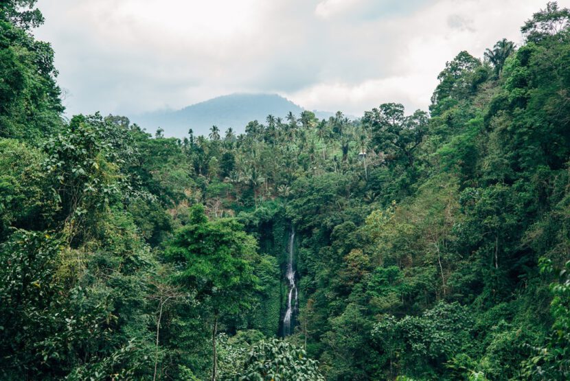 bali tempel ubud wasserfall