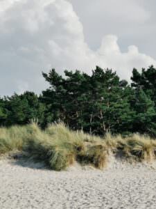 ostsee duenen 225x300 - ostsee-duenen.jpg