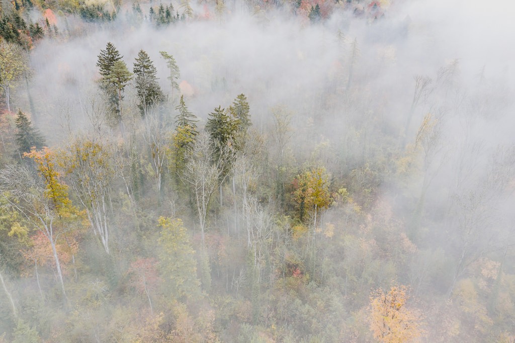 luftaufnahme bodensee gehrenberg herbst 0009 - Herbstfarben Gehrenberg