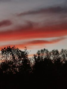 Sonnenuntergang konstanz 225x300 - Sonnenuntergang-konstanz.jpg