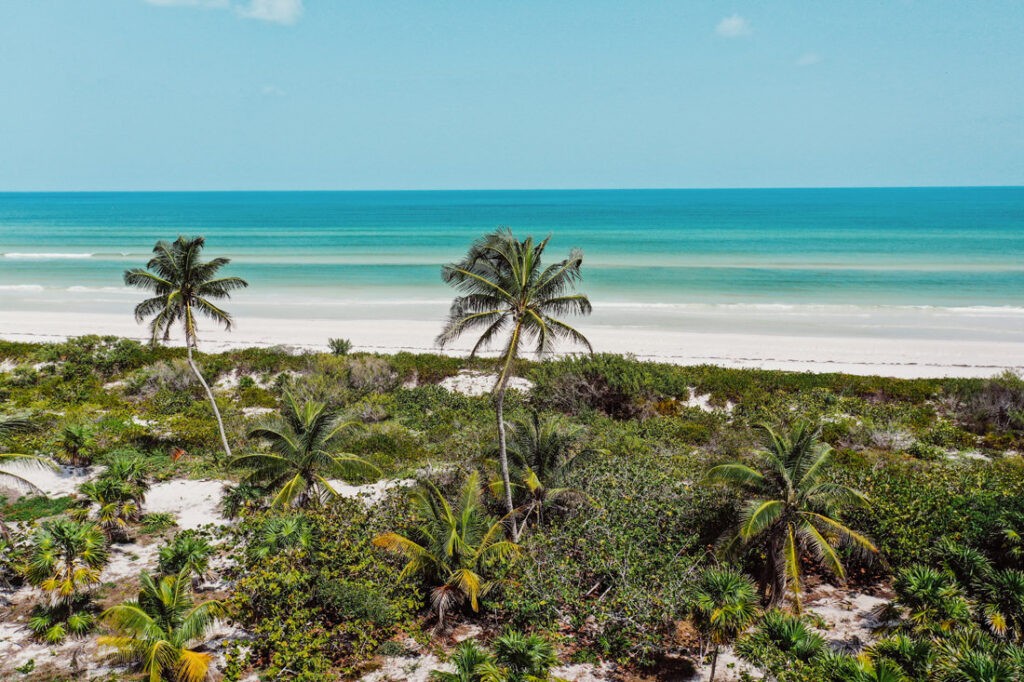 006 strand yucatan salzfelder elcuyo 1024x682 - Strand und Salzfelder in Yucatan